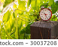 Clock  in Natural background. 30037208