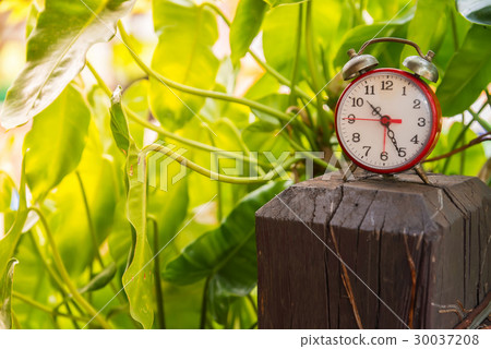 Clock  in Natural background. 30037208