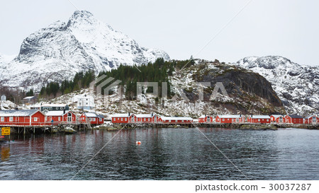 Traditional red cabins of Norway Traditional red cabins of Norway 30037287