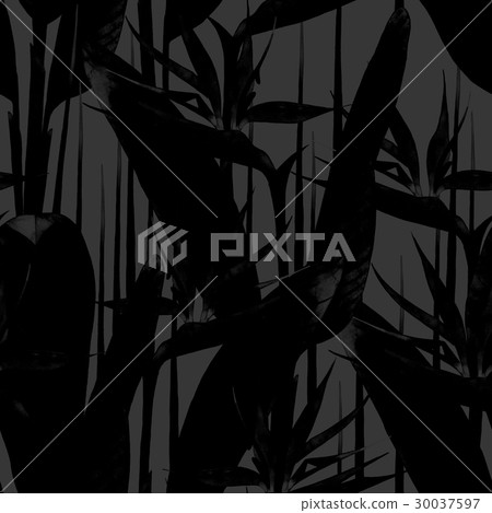 Watercolor strelitzia pattern Watercolor strelitzia pattern 30037597
