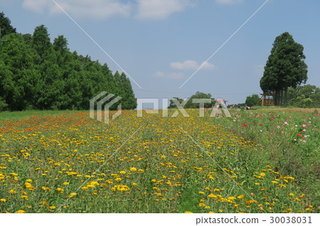 Menard Aoyamaresort~藥草園〜 Menard Aoyamaresort~藥草園〜 30038031
