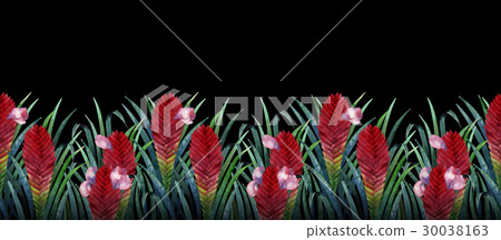 Watercolor tillandsia cyanea card 30038163