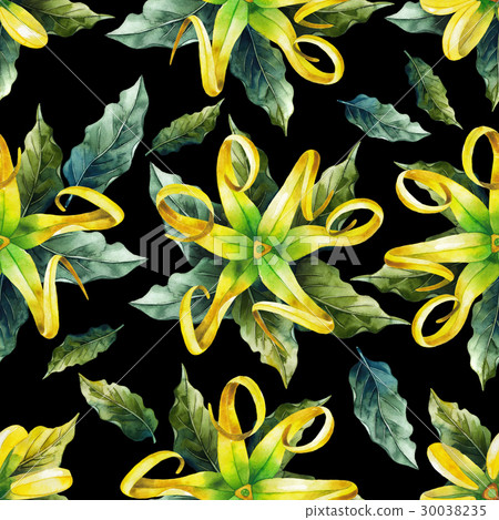 Watercolor ylang ylang pattern Watercolor ylang ylang pattern 30038235