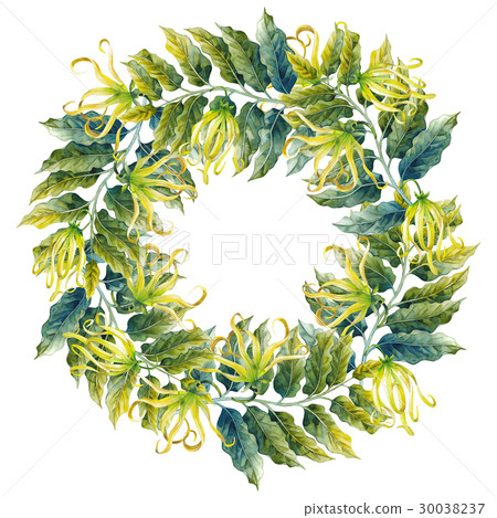 Watercolor ylang ylang wreath 30038237