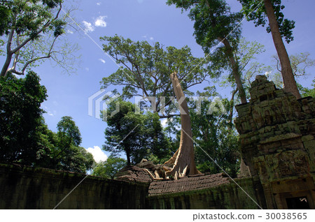 Ancient ruins settled in the blue sky, Ta Pro r @ Siem Reap, Cambodia 30038565