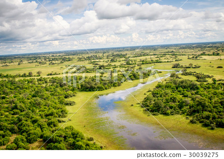 Aerial view of the Okavango delta. 30039275