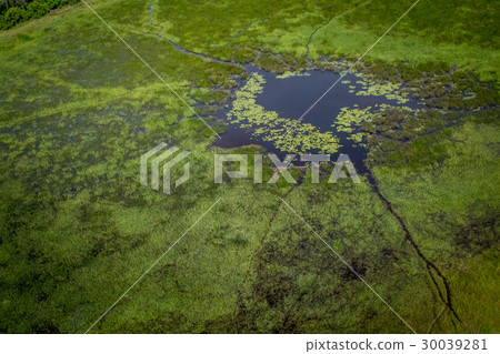 Aerial view of the Okavango delta. 30039281