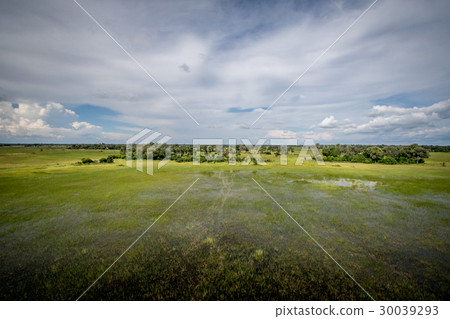 Aerial view of the Okavango delta. 30039293