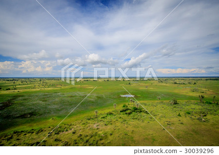 Aerial view of the Okavango delta. 30039296
