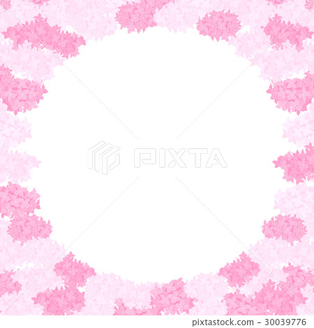 Flower illustration frame Hydrangea pink square - Stock Illustration ...