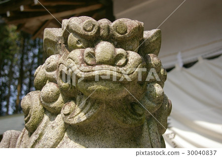 Gifu Prefecture Minokamo shi lord guardian guardian dog Gifu Prefecture Minokamo shi lord guardian guardian dog 30040837