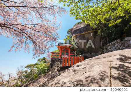 春天神倉 30040901