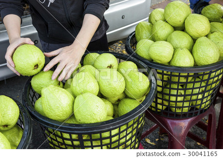 Guava selling at market Guava selling at market 30041165