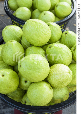 Guava selling at market 30041173