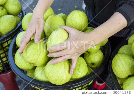 Guava selling at market 30041178
