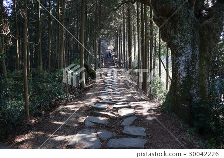 日本的石階(佛教寺廟Misaka長廊) 日本的石階(佛教寺廟Misaka長廊) 30042226