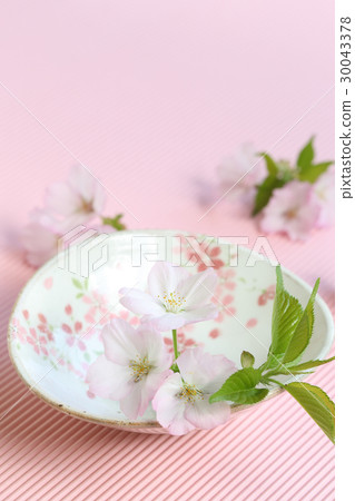 櫻花和樂器 30043378