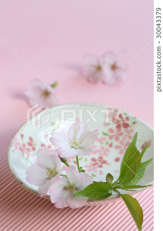 Sakura and instrument 30043379
