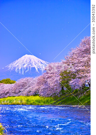 從富士市櫻花燈看到的富士山 30043392