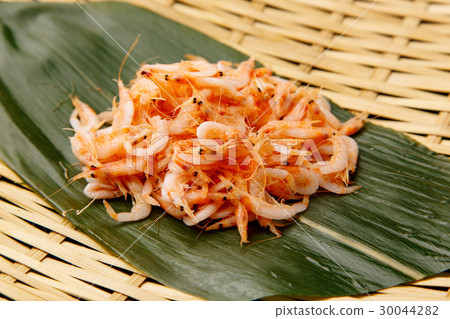 養櫻桃蝦 30044282