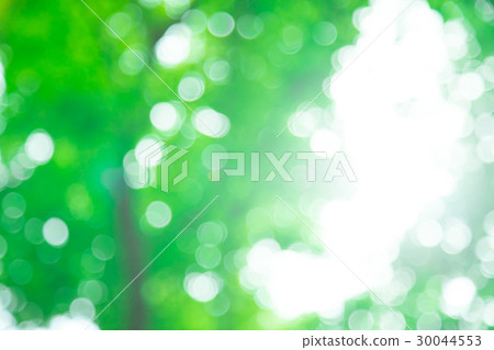 新綠色圖像合成的背景材料綠色背景植物春天初夏雪離開天綠色和拷貝空間 30044553