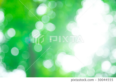新綠色圖像合成的背景材料綠色背景植物春天初夏雪離開天綠色和拷貝空間 30044555