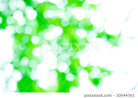 Background material for fresh green image synthesis Green background Plants spring early summer Snow leaves day green and copy space Background material for fresh green image synthesis Green background Plants spring early summer Snow leaves day green and copy space 30044561
