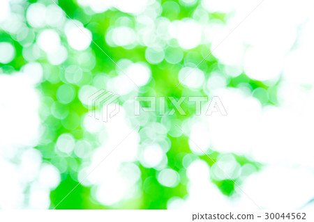 Background material for fresh green image synthesis Green background Plants spring early summer Snow leaves day green and copy space Background material for fresh green image synthesis Green background Plants spring early summer Snow leaves day green and copy space 30044562
