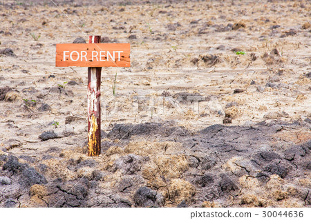 land for rent land for rent 30044636