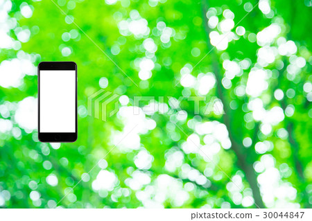Hamikomi Sumaho Fresh green image background material background green background plant spring early summer sunbeams leaves green and copy space 30044847