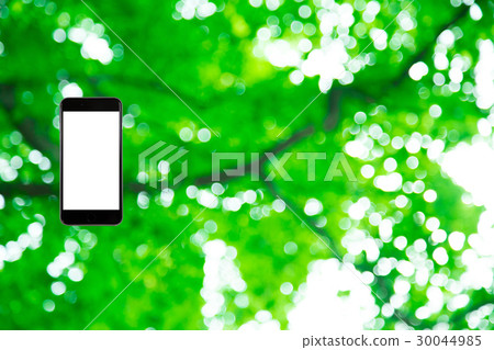Hamikomi Sumaho Fresh green image background material background green background plant spring early summer sunbeams leaves green and copy space Hamikomi Sumaho Fresh green image background material background green background plant spring early summer sunbeams leaves green and copy space 30044985