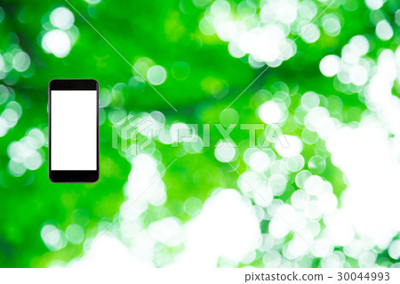 Hamikomi Sumaho Fresh green image background material background green background plant spring early summer sunbeams leaves green and copy space 30044993