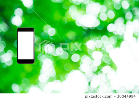 Hamikomi Sumaho Fresh green image background material background green background plant spring early summer sunbeams leaves green and copy space Hamikomi Sumaho Fresh green image background material background green background plant spring early summer sunbeams leaves green and copy space 30044994