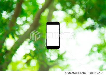 Hamikomi Sumaho Fresh green image background material background green background plant spring early summer sunbeams leaves green and copy space Hamikomi Sumaho Fresh green image background material background green background plant spring early summer sunbeams leaves green and copy space 30045235