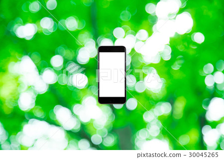 Hamikomi Sumaho新綠色圖像背景材料背景綠色背景植物春天初夏光束離開綠色並且複制空間 30045265