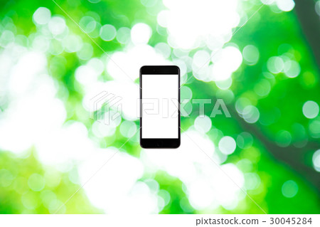 Hamikomi Sumaho Fresh green image background material background green background plant spring early summer sunbeams leaves green and copy space Hamikomi Sumaho Fresh green image background material background green background plant spring early summer sunbeams leaves green and copy space 30045284
