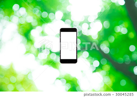 Hamikomi Sumaho Fresh green image background material background green background plant spring early summer sunbeams leaves green and copy space 30045285