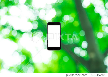 Hamikomi Sumaho Fresh green image background material background green background plant spring early summer sunbeams leaves green and copy space 30045286