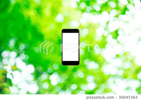 Background materials for smartphone and fresh green image synthesis Green background Plants Spring early summer Snow leaves day green and copy spaces 30045363
