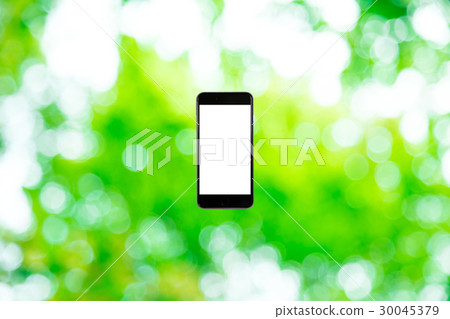 Background materials for smartphone and fresh green image synthesis Green background Plants Spring early summer Snow leaves day green and copy spaces 30045379