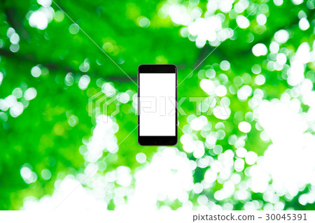 Background materials for smartphone and fresh green image synthesis Green background Plants Spring early summer Snow leaves day green and copy spaces 30045391