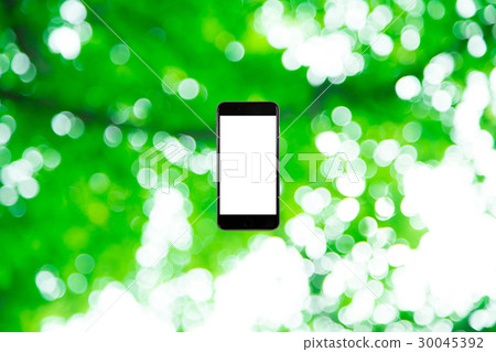 Background materials for smartphone and fresh green image synthesis Green background Plants Spring early summer Snow leaves day green and copy spaces Background materials for smartphone and fresh green image synthesis Green background Plants Spring early summer Snow leaves day green and copy spaces 30045392