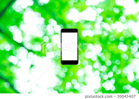 Background materials for smartphone and fresh green image synthesis Green background Plants Spring early summer Snow leaves day green and copy spaces 30045407