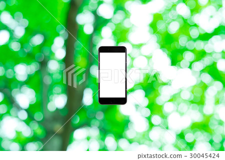 智能手機和新鮮的綠色圖像合成的背景材料綠色背景植物春天初夏雪離開天綠色和拷貝空間 30045424