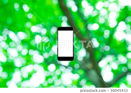 Background materials for smartphone and fresh green image synthesis Green background Plants Spring early summer Snow leaves day green and copy spaces Background materials for smartphone and fresh green image synthesis Green background Plants Spring early summer Snow leaves day green and copy spaces 30045433