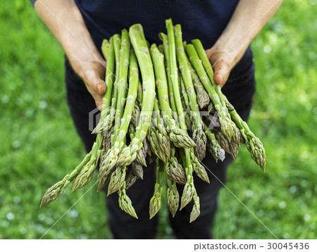Asparagus Asparagus 30045436