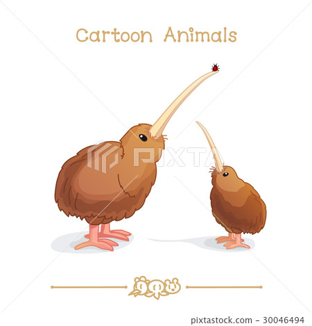 Kiwi birds 30046494