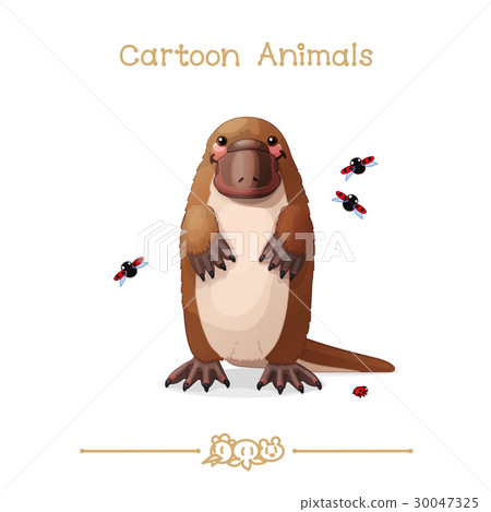 Platypus & ladybugs 30047325