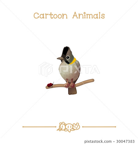 Whiskered Yuhina  30047383