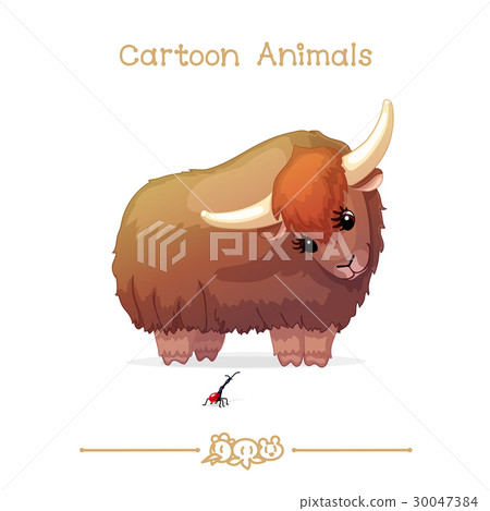 Yak and giraffe weevil 30047384